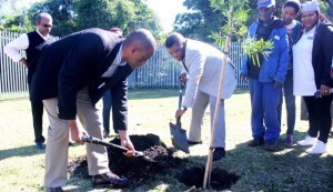 BCC celebrates Arbor Day